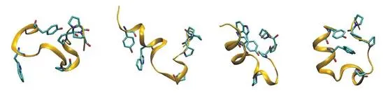 Peptide conformations obtained by efficient sampling in a set of H-REMD simulations with different levels of  specific biasing potentials.